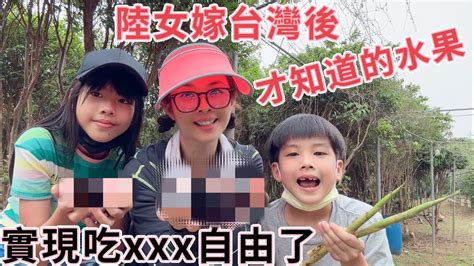 養小烏龜注意事項 台灣媳婦 lily 老公